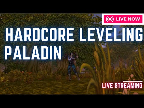 Paladin leveling! | WOW CLASSIC HARDCORE