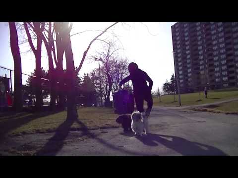 Mindfulness & Meditation: Self-Compassion Experience