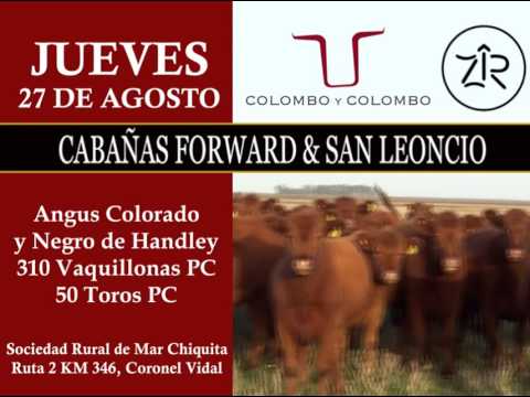 Colombo y Colombo -  Cabañas Forward & San Leoncio