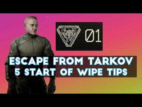 Escape From Tarkov - Five Tips For Start of Wipe / Level 1