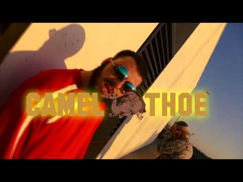 AVILES x RSC - 🐫 CAMELTHOE 🐫 ( VIDEOCLIP )