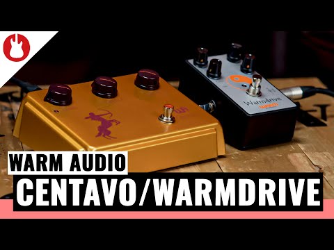 Wie klingen die neuen Effektpedale von Warm Audio? | WARM AUDIO Centavo / Warmdrive | MUSIC STORE
