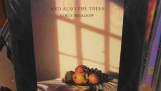 and also the trees - gone...like the swallows