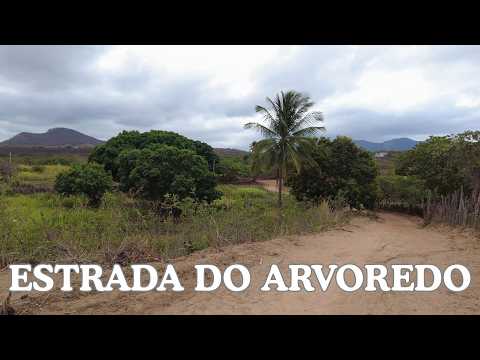 TESOUROS REVELADOS NESSA ESTRADA DO ARVOREDO - CATUNDA CEARÁ