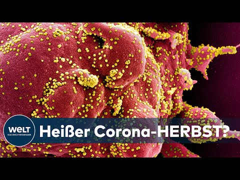 UNGEMÜTLICHER CORONA-HERBST: Test-Müdigkeit macht Behörden blind