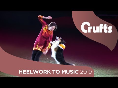 Dog Nicknamed 'Lord Of The Dance' Puts On Stunning Performance | Crufts 2019