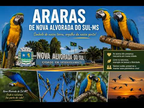 NOVA ALVORADA DO SUL - MS