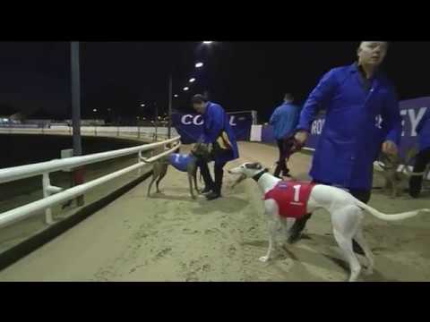 2019 CORAL TV TROPHY - HEAT 2 - T3 BURGESS HONEY