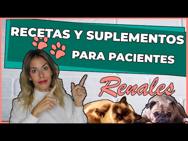 Vídeo relacionado con P renales alimentos complementarios para perros y gatos Alimentos Suplemento 240g Uso Veterinario