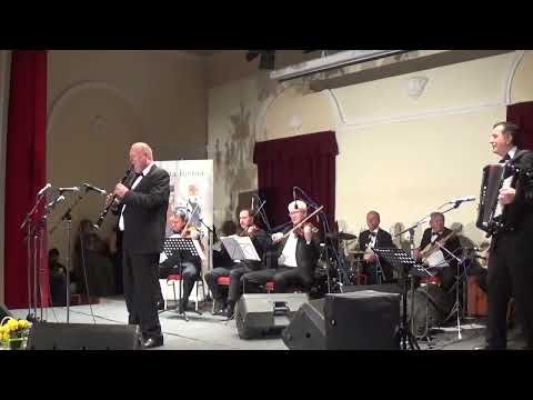 Aleksandar Aca Antic- Banjski cocek