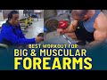 Best Workout For Big & Muscular Forearms