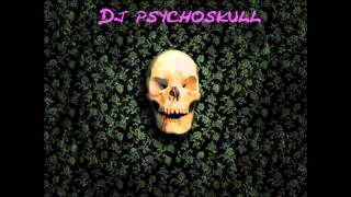 Single Ladies vs. Party (Ich will abgehen) Remix by Dj Psychoskull