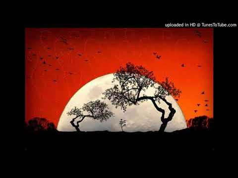 (FREE) Travis Scott X PLK X Hamza Type Beat (New Hope) PVP.Production (Prod Poca X VP)