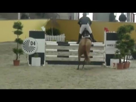 Gepsom-Cancoon mare * 2011 for sale