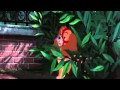 Lady And The Tramp Getting Into The Zoo HD