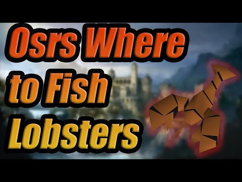 Fishing Lobsters Osrs