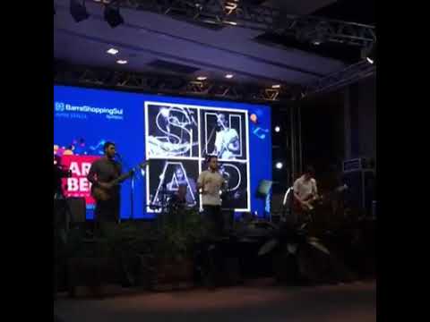 SNAP - Can't Stop (Red Hot Chili Peppers)