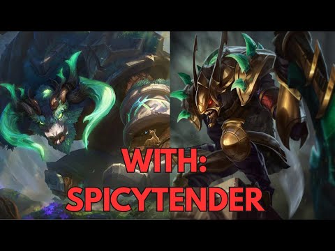 PLAYING WITH A PARTNER, ALISTAR VS HEIMERDINGER SUPPORT, BRONZE GAMEPLAY