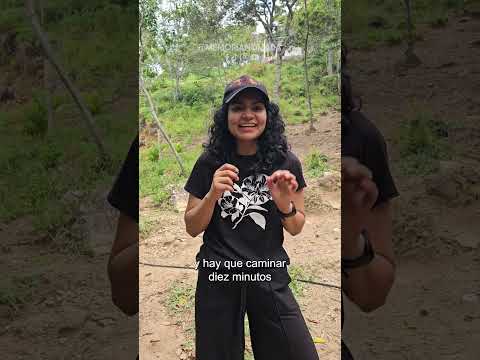 ¡Esta es la cascada más linda de Gramalote! 🇨🇴😍