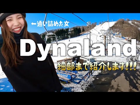 【ダイナランド】通い詰めた私が魅力をたっぷり教えます