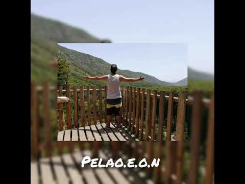 BUSCANDO PAZ-PELAO E.O.N