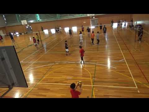 薬学科 5/12 No.6