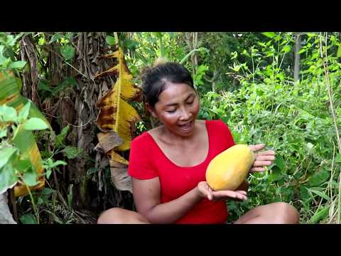 Survival skills: Finding Natural Papaya in Wild for Food - Ripe papaya eating delicious Video