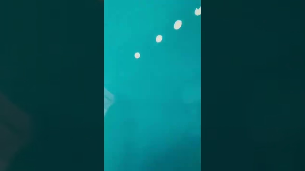 #fusca #kombi #Brasília #aircooled #vw