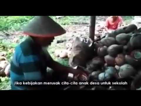 Puisi anak petani Kopra || #SavepetaniKopra || by D'FactoRap