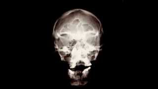 Ministry — Never Believe