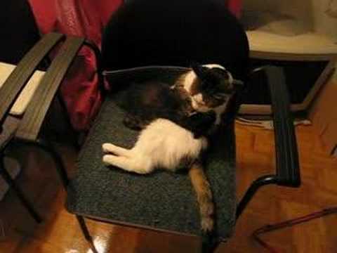 2007-08-09 01 Ameerah playing with baby Rowena on chair #1