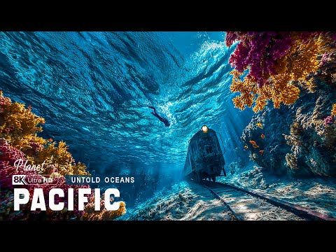 Pacific Secrets | Exploring the Immense Ocean Still Guarding the Unknown