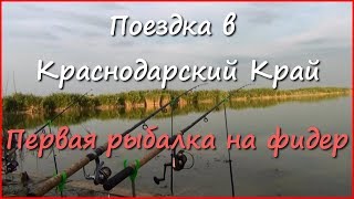 Ссылка