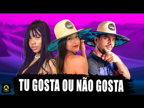 MC INDIA, JULLIE DO PISEIRO e DJ DM - TU GOSTA OU NÃO GOSTA - PISEIRO FUNK (Alysson CDs)
