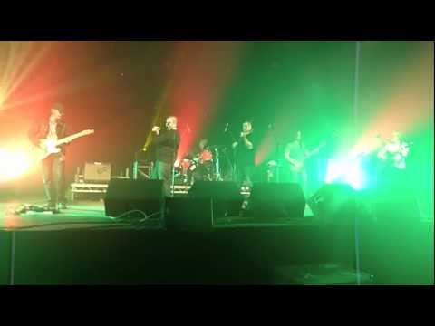 Inishturkbeggers - I'm Yours - Galway Races, 2011