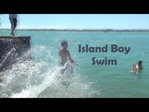 Vlog #100: Island Bay Swim