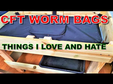 Huge Worm Bag-African Night Crawlers - High Maintenance Worms