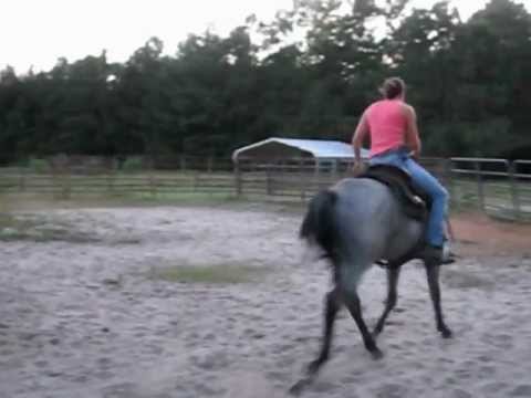 download lagu mp3 mp4 Lazy M Salty Blue, download lagu Lazy M Salty Blue gratis, unduh video klip Lazy M Salty Blue