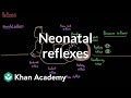 Neonatal reflexes | Behavior | MCAT | Khan Academy