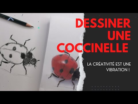 Dessiner une coccinelle