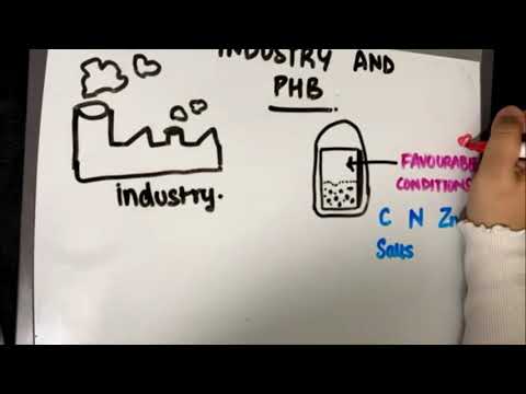 Understanding PHB: Better know a polymer