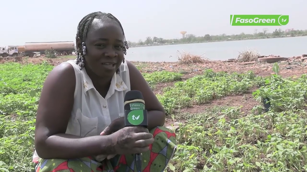 Libération des berges des barrages numéro 1,2,3 et celui de Boulmiougou: Les maraichers plaident