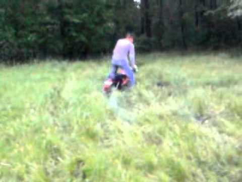 komar majdan królewski poręby