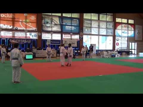 Judo Show