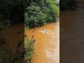 Assim que acha diamante na África