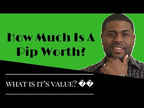 How much is a pip worth