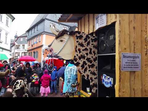 Auszug vom Amorbacher Fastnachtsumzug 2020 (Part 2)/ Carnival parade in Bavarian Odenwald in Germany
