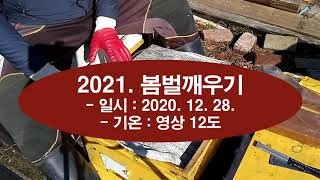 2021. 봄벌깨우기, 새해 복 많이 받으십시오.