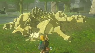 Tears of the Kingdom — Stalnox Wouldn't Wake Up