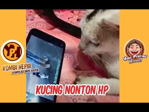kombi-heppiii-kucing-nonton-hp